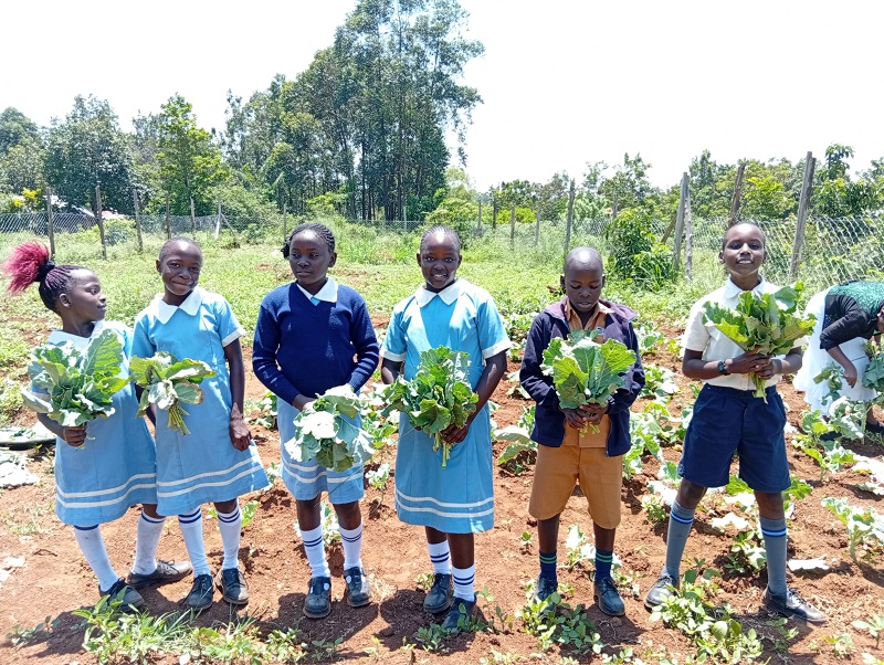 farm 22