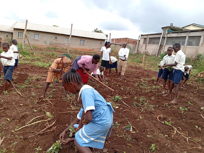 farm 9